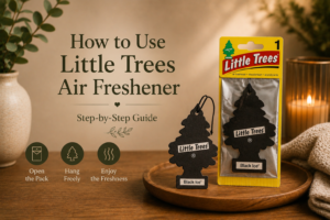 How to Use Little Trees Air Freshener